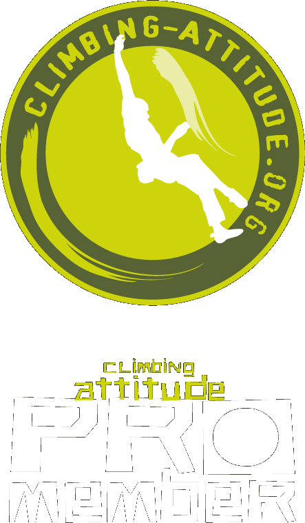 climbingatpro