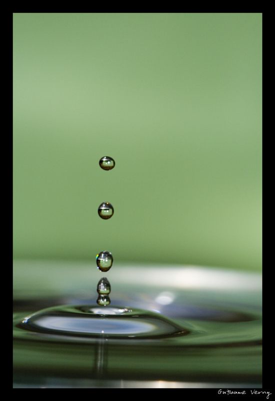 guillaume_verny_macro_12