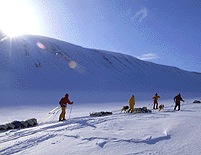 svalbard-nature-image_2